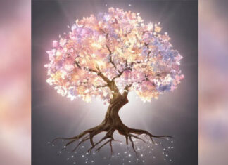 Iscjeljivanje predaka 9 s kakao ceremonijom