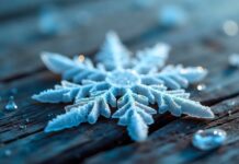 TJEDNI HOROSKOP od 12.1. do 18.1. – Najsretniji znakovi će biti Jarac, Bik, Djevica