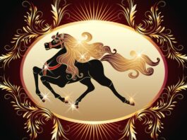 Lunarna Nova godina 2026. i godina Vatrenog Konja: Vrijeme ubrzanja i konkretnih odluka