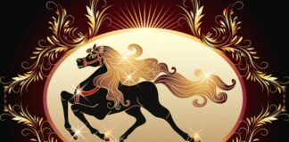 Lunarna Nova godina 2026. i godina Vatrenog Konja: Vrijeme ubrzanja i konkretnih odluka