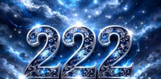 22.2. – numerološki kod odnosa, povjerenja i zrele namjere