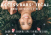 Access Bars® otpusti stres i Energetski Facelift vikendi promjene u Rijeci, Puli, Zagrebu i Osijeku | Znanje uz primjenu donosi promjenu za tebe