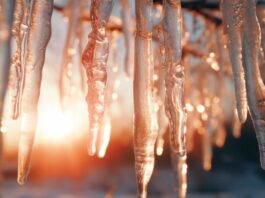 TJEDNI HOROSKOP od 23.2. do 1.3. – Najsretniji znakovi će biti Ribe, Rak, Ovan