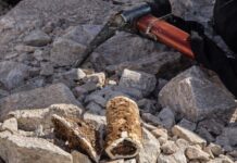 Krupne kosti iz Kladnjica