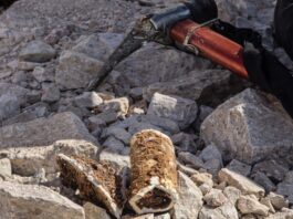 Krupne kosti iz Kladnjica