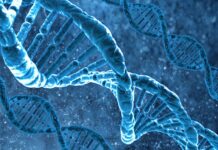 Aktivacija DNK: spiritualno buđenje ili rizik?