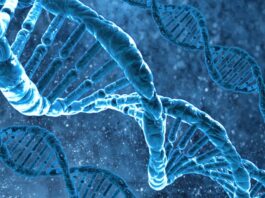 Aktivacija DNK: spiritualno buđenje ili rizik?