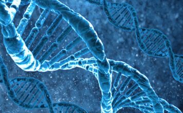Aktivacija DNK: spiritualno buđenje ili rizik?