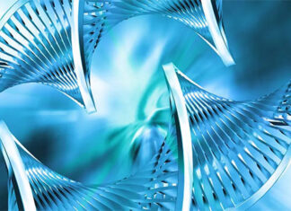 Napredni DNK2 ThetaHealing® tečaj sa Stephen Roy Parkerom