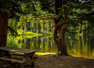 Psihodramska terapijska grupa – Još dva slobodna mjesta !!!