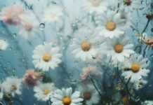 TJEDNI HOROSKOP od 13.4. do 19.4. – Najsretniji znakovi će biti Ovan, Strijelac, Lav