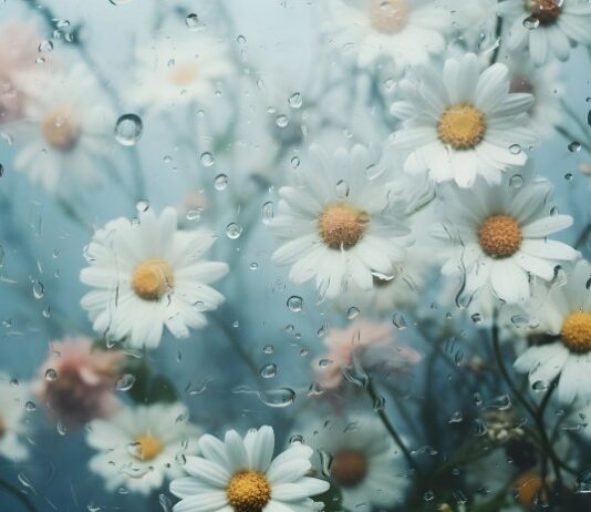 TJEDNI HOROSKOP od 13.4. do 19.4. – Najsretniji znakovi će biti Ovan, Strijelac, Lav