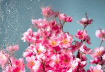 TJEDNI HOROSKOP od 20.4. do 26.4. – Najsretniji znakovi će biti Ovan, Bik, Jarac