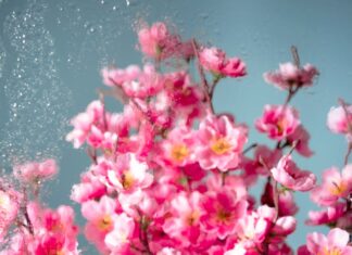 TJEDNI HOROSKOP od 20.4. do 26.4. – Najsretniji znakovi će biti Ovan, Bik, Jarac