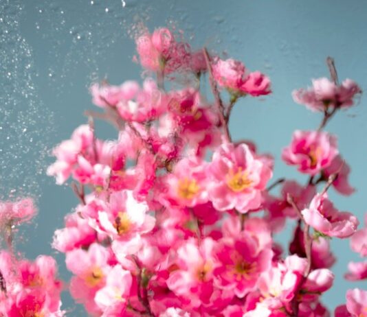 TJEDNI HOROSKOP od 20.4. do 26.4. – Najsretniji znakovi će biti Ovan, Bik, Jarac