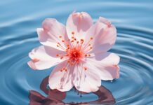 TJEDNI HOROSKOP od 27.4. do 3.5. – Najsretniji znakovi će biti Blizanac, Ovan, Strijelac