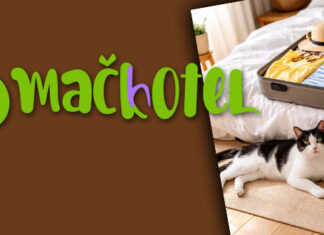 Obiteljski hotel za mace Mačkotel