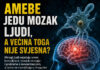 Amebe koje jedu ljudski mozak – Bioenergoterapija pomaže