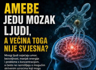 Amebe koje jedu ljudski mozak – Bioenergoterapija pomaže
