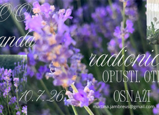 Lavanda radionica
