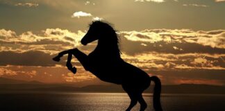 Kineski horoskop za srpanj/jul 2026.: Godina Vatrenog Konja donosi velike prilike, ljubavne preokrete i važne životne odluke!