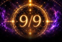 Portal 9/9 2026.: Vrijeme je za novi početak!