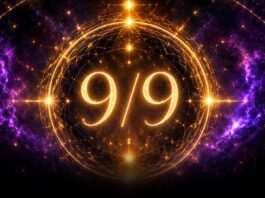 Portal 9/9 2026.: Vrijeme je za novi početak!