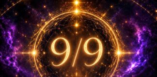Portal 9/9 2026.: Vrijeme je za novi početak!