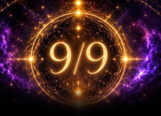 Portal 9/9 2026.: Vrijeme je za novi početak!