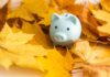 Financijski horoskop od 19.10. do 25.10.: Škorpionima prijete financijski pritisci, Vodenjaci ulaze u napete pregovore