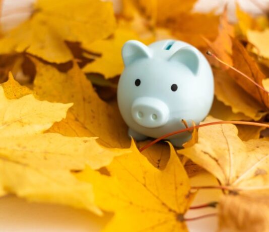 Financijski horoskop od 19.10. do 25.10.: Škorpionima prijete financijski pritisci, Vodenjaci ulaze u napete pregovore