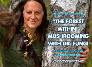 Što kada bi šuma mogla govoriti? Dr. Fungi donosi The Forest Within u Zagreb