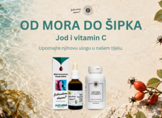 Od mora do šipka: jod i vitamin C u skrivenim procesima našeg tijela