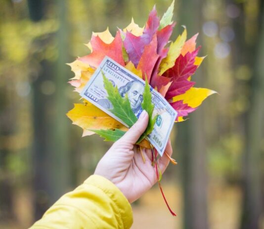 Financijski horoskop od 26.10. do 1.11.2026.: Bikovima slijedi financijsko otrežnjenje, Vodenjaci stežu remen